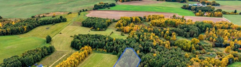 3263 m² | wz | blisko jeziora dąbrowa wielka