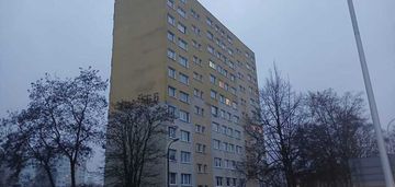 Pod wynajem lub dla pary - do remontu, 39 m²