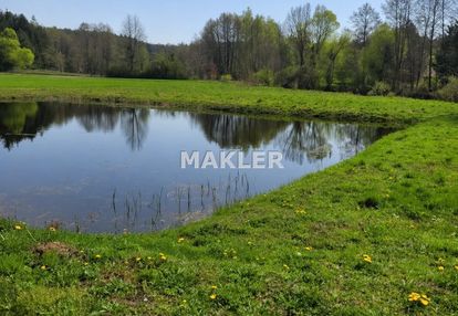 Działka ze stawem-paliwodzizna
