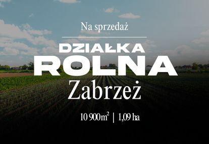 Działka rolno-rekreacyjna | 1,09 ha zabrzeż-łącko