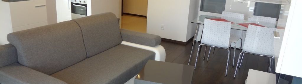 Apartament - salon z aneksem sypialnym, kuchnia
