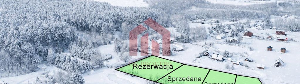 Działki budowlane w enklawie lasu w krzywej