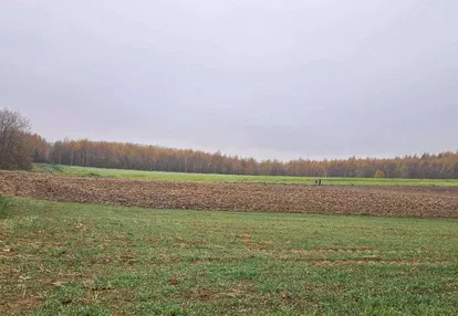 Działka budowlana 4 x 1250m2 10 min Starachowice