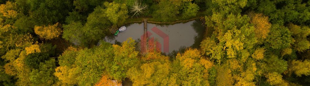 Gęsty las ze stawem 12 hektarów jak bieszczady