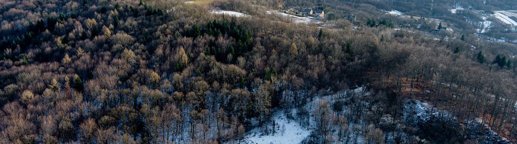 Działka rolna- grabno- wojnicz- małopolska