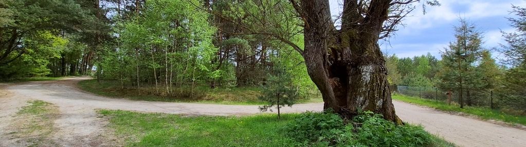 Leśna bajka | działka budowlana | bartoszylas