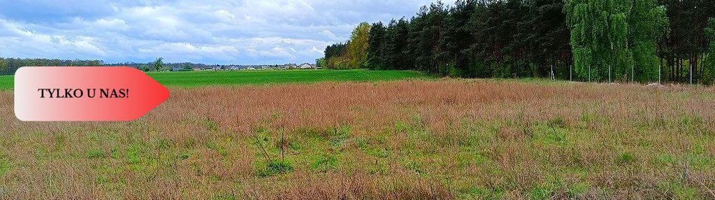 Morzewiec 1022m cisza spokój ściana lasu
