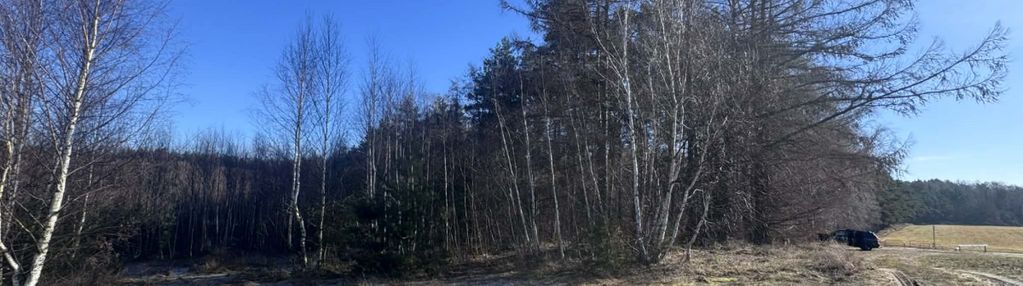 Działka przy lesie mpzp