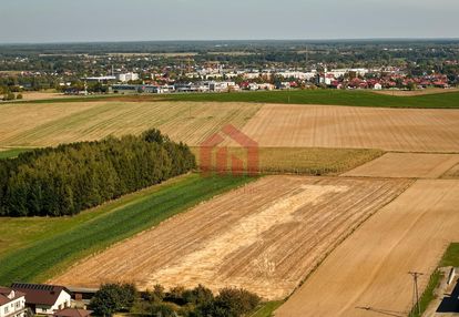 Działki siedliskowe,2 km sędziszów młp, full media