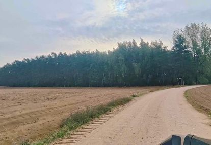 Działka 3000m2, ignacew
