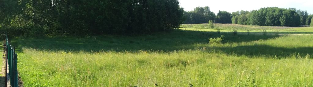 Działka w urokliwej wsi, z mpzp zab. jednorodzinna