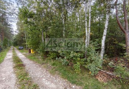 Inwestycyjna działka 9031 m², wycinki osowskie