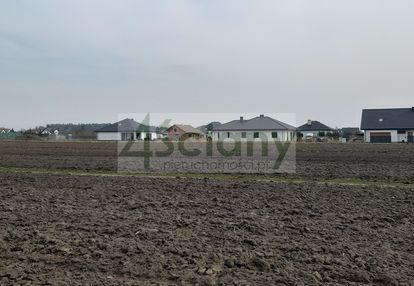 1000 m2 w zaborówku