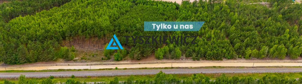 Urokliwa działka leśna o dużej powierzchni!