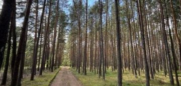 Na sprzedaż: dwie działki letniskowe (mpzp)