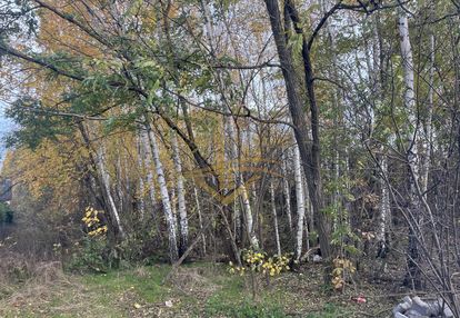 Na biznes , inwestycje znakomity dojazd