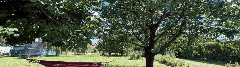 Siedlisko na sprzedaż – włóki, gm. dobrcz (2 ha)