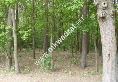 Leśna z pr. zabud. pod zabud. rezydencjonalną mpzp