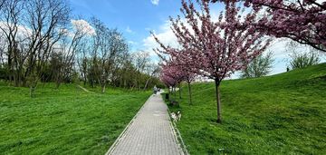 Piękne m ! idealny widok z mieszkania ! okazja
