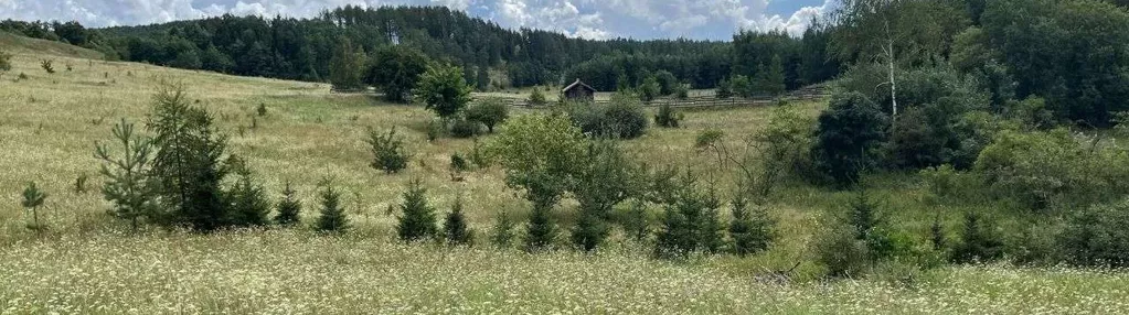 działka budowlana z wydanymi warunkami zabudowy