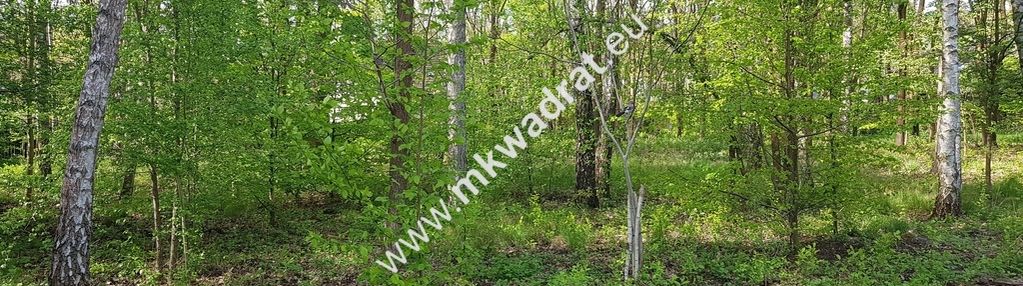 Działka budowlana - z planem zagospodarowania mn