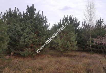 Działka 1157 m osowiec
