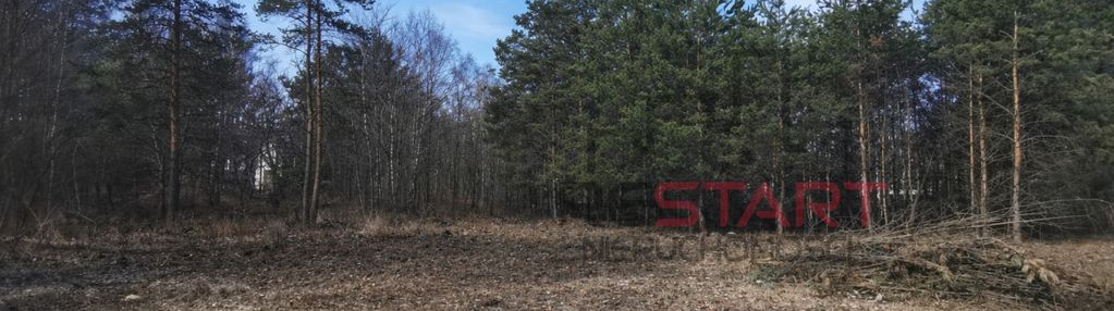 Budowlana, nowe domy,drzewa.