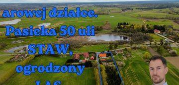 Siedlisko z duszą: staw, las i własna pasieka