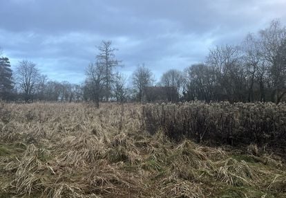 Rogów opolski_teren pod zabudowę mieszkaniową