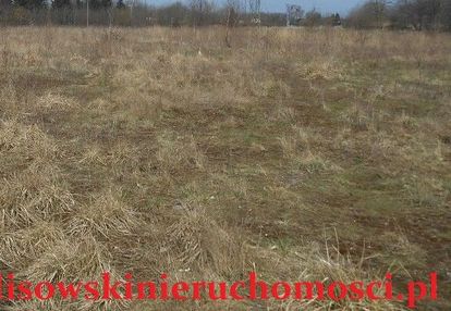 Działka przemysłowa 22ha, tymianka/stryków