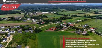 Uzbrojona, płaska, słoneczna, kameralna -przyjaźń