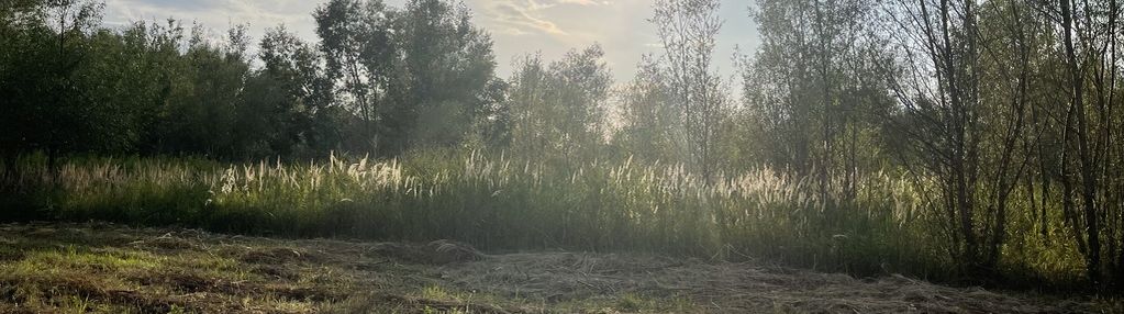 Działka budowlana 4113 m² w sierakowie.