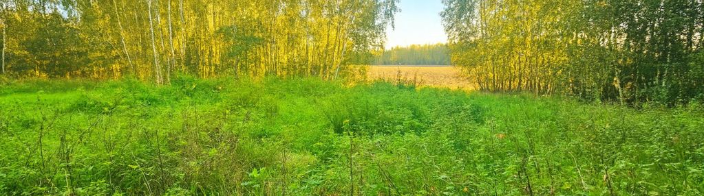 Malownicza działka w chełmżycy k. iławy – 49 arów