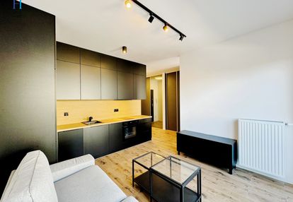 Nowoczesne mieszkanie na wynajem os. chojny park