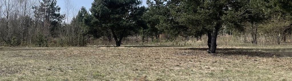 Działka 830 m² – spokojna, zielona okolica.