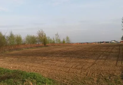 Działka na sprzedaż 7800m2