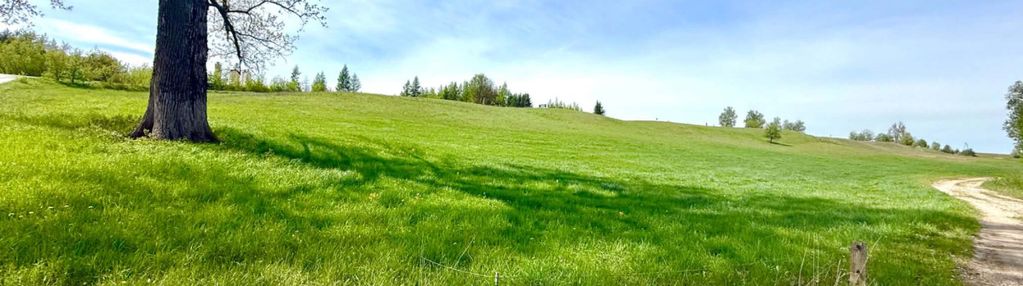 Działka inwestycyjna bród nowy