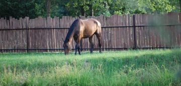 Działka ze stawem w spokojnej okolicy, 4995 m²