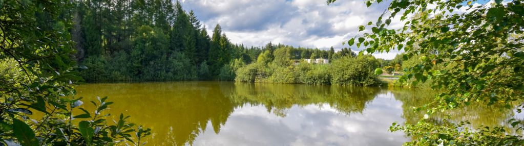 Sielanka na kaszubach... własny staw i las!