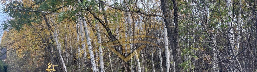 Na biznes , inwestycje znakomity dojazd