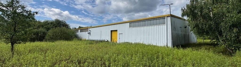 1,6 ha na produkcję, składy, magazyny+hala 1100 m2