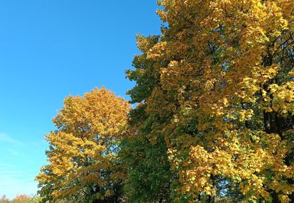 0 % prowizji ! okazja nowa niższa cena ! ! !