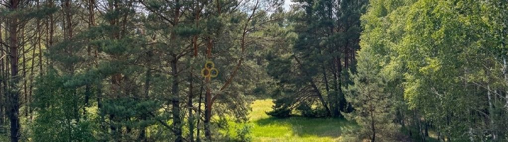 Nad jeziorem i przy lesie – wyjątkowa działka 3959