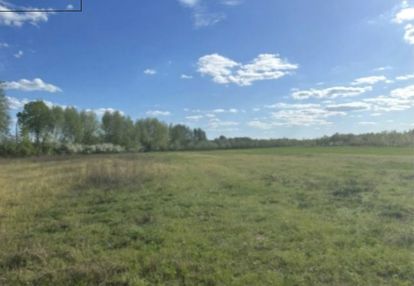 Działka wśród zieleni