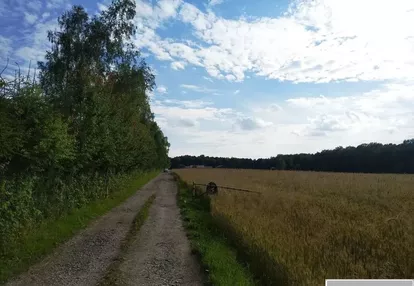 Działka na sprzedaż 6000m2