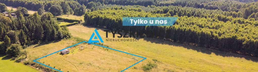Dąbrowa brzezieńska gm. łęczyce działka 3000m2