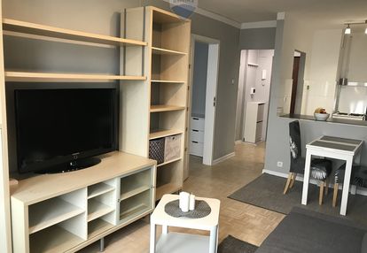 Mieszkanie z piękny widokiem na wynajem/żoliborz