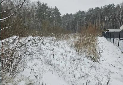 Działka budowlana położona przy lesie.