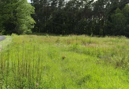 Działka 3100 m2 w Zaroślu Cienkim gmZławieś Wielka