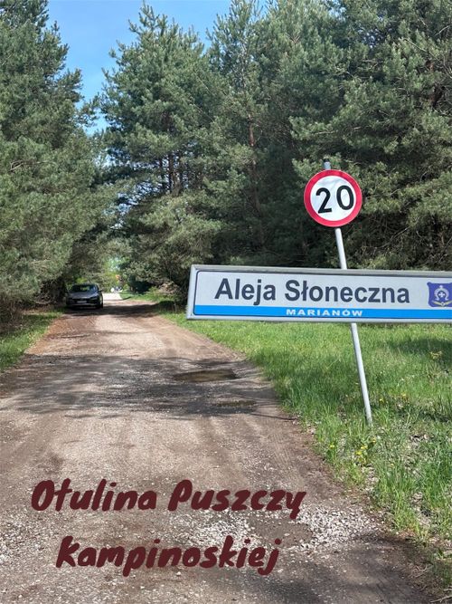 Działka budowalna z ceną do negocjacji